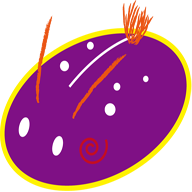 Sea slug familiar